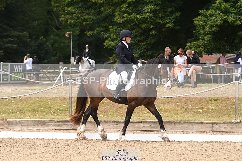 250720A-115836-10102 - 079-Amanda.Williams-Llanarth.Westminster