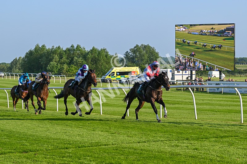 310524-Race 2-Dandy Fitz-8492 - Race 2
