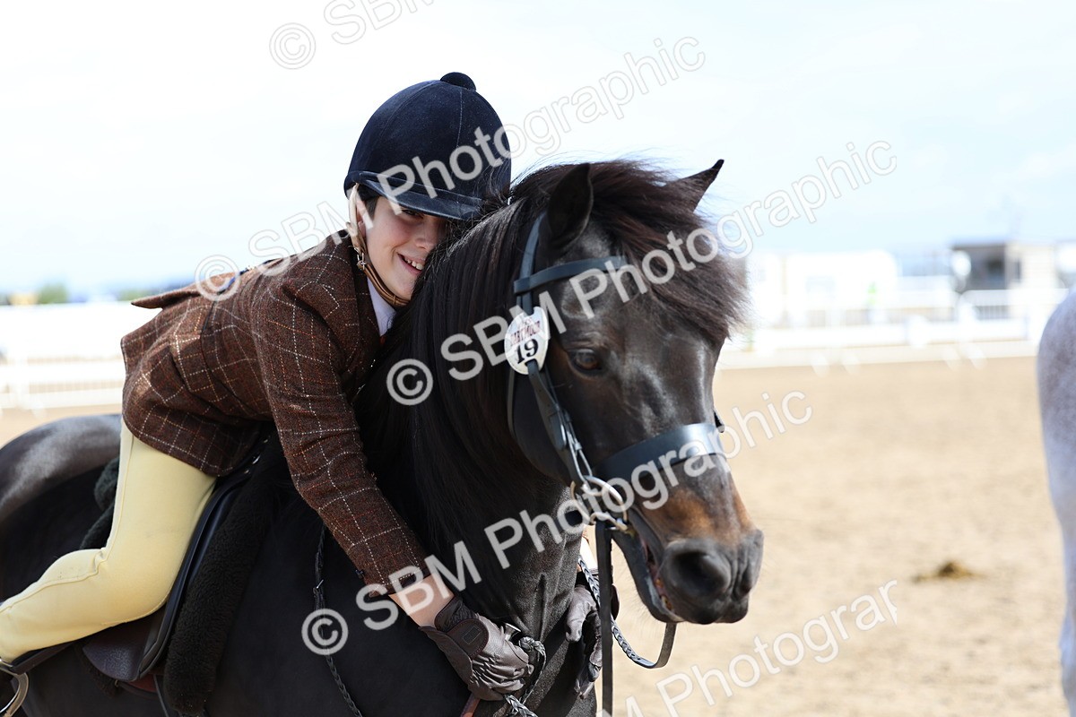 SBM_01919 - Class 18 - Handsomest Gelding - IH or Ridden