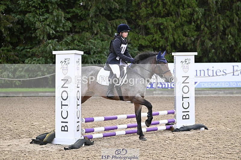 251005A-085513-02884 - Cls 02 GR 50cm