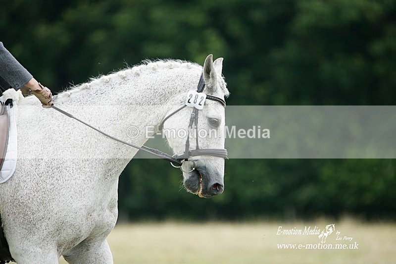 BVRC 030721 739 - Bourne Valley Riding Club Dressage 03/07/21