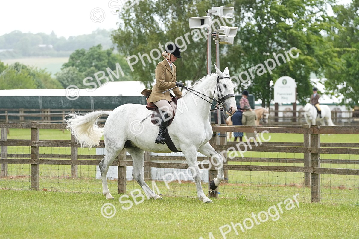 SBM_12654 - Class 97-98 - LIHS BSHA Rising Star Working Show Horse Hunter