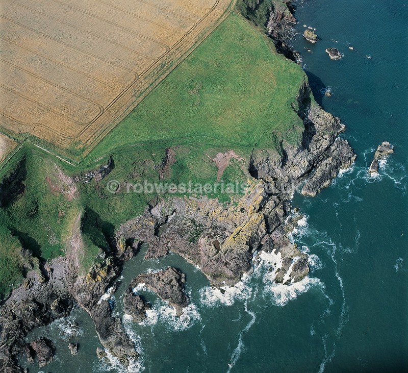 A00737C Coastline cliffs by Lang Craig east of Ethie Haven 2018 - East and north coastlines