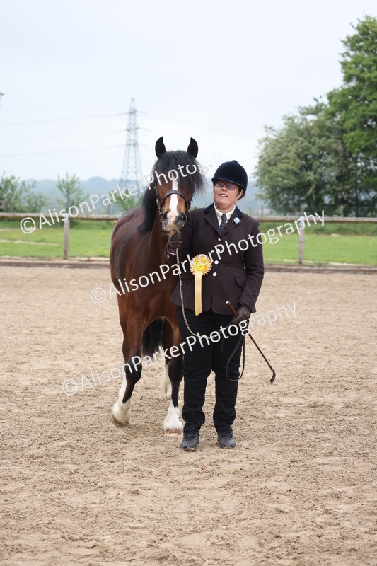 20260504-0202 - Class 2 - Youngstock