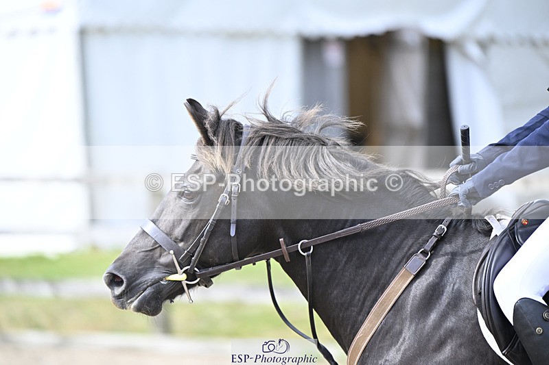 240823X-153846-18810 - 70cm R2 15.20 to 16.40