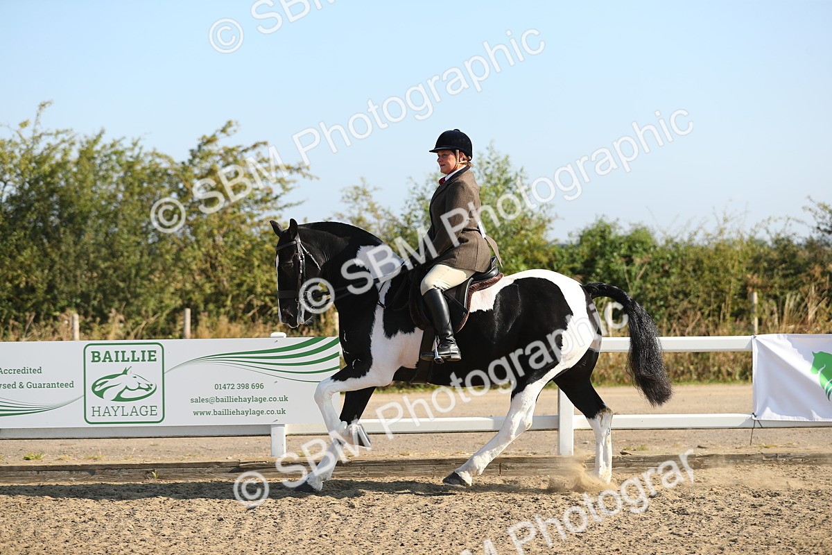 SBM_01151 - Class 42 Ridden Veteran