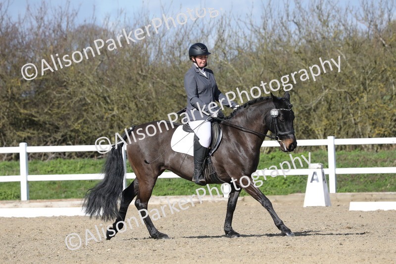 20260314-4870 - CT6 - Elementary 1