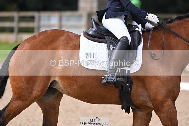 240809-100154-00028 - 211-Amelia.Dovey-Caederwen.Lady.Elinor