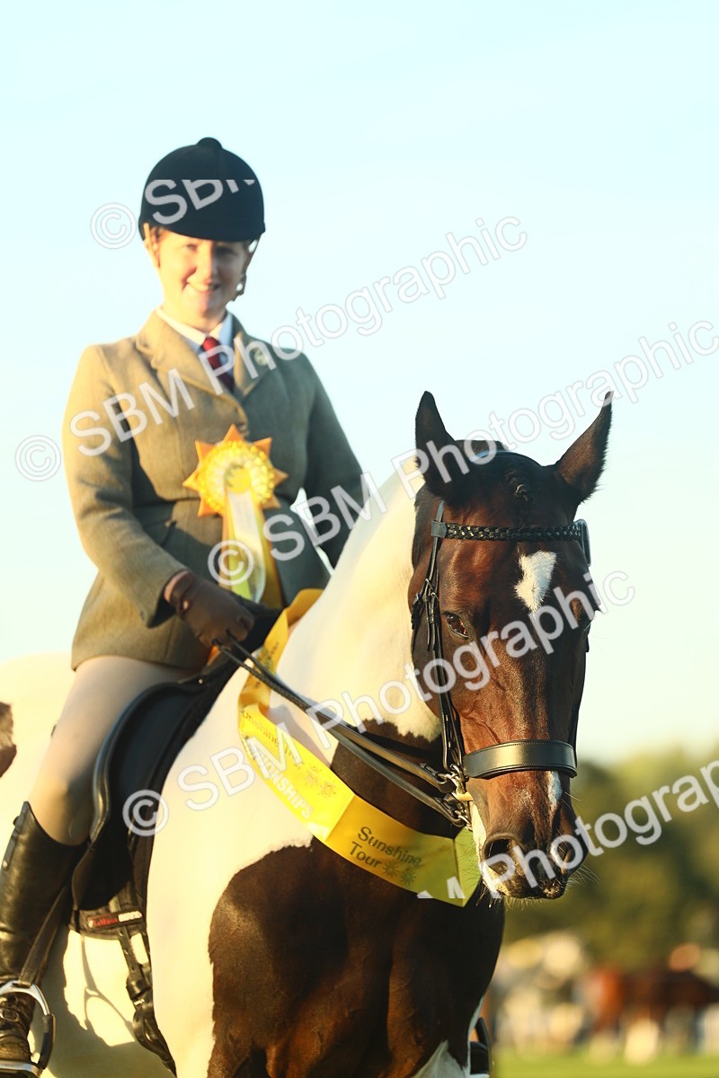 SBM_56532 - S14 - Riding Club Horse