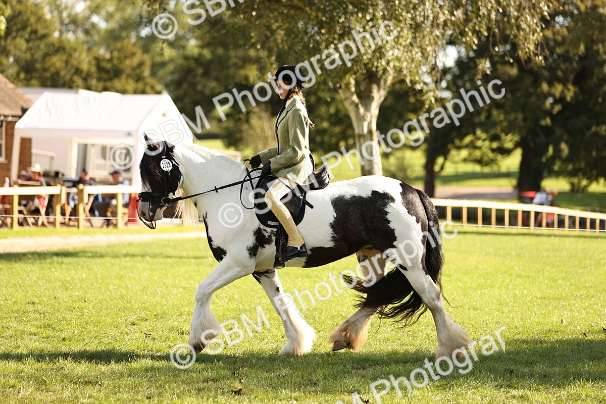SBM_26441 - S6 - Novice & Newcomers Ridden Horse