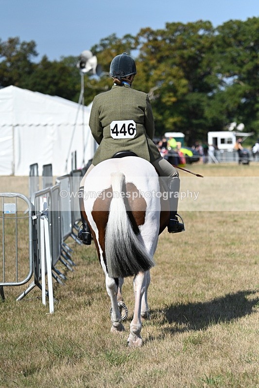 WJ7_3101 - Class 8 Ridden Tack & Turnout