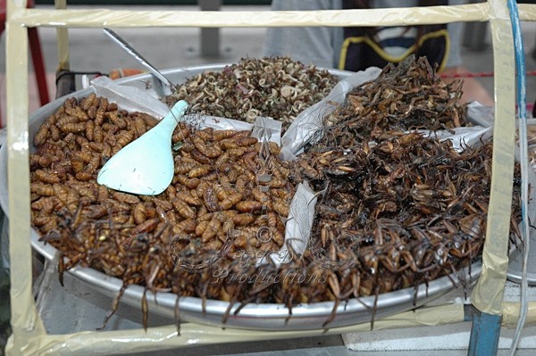 Roasted Insects - Bangkok, Thailand - EVERYTHING  ELSE