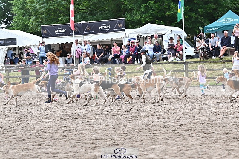 250524A-152924-12804 - East Devon Hounds