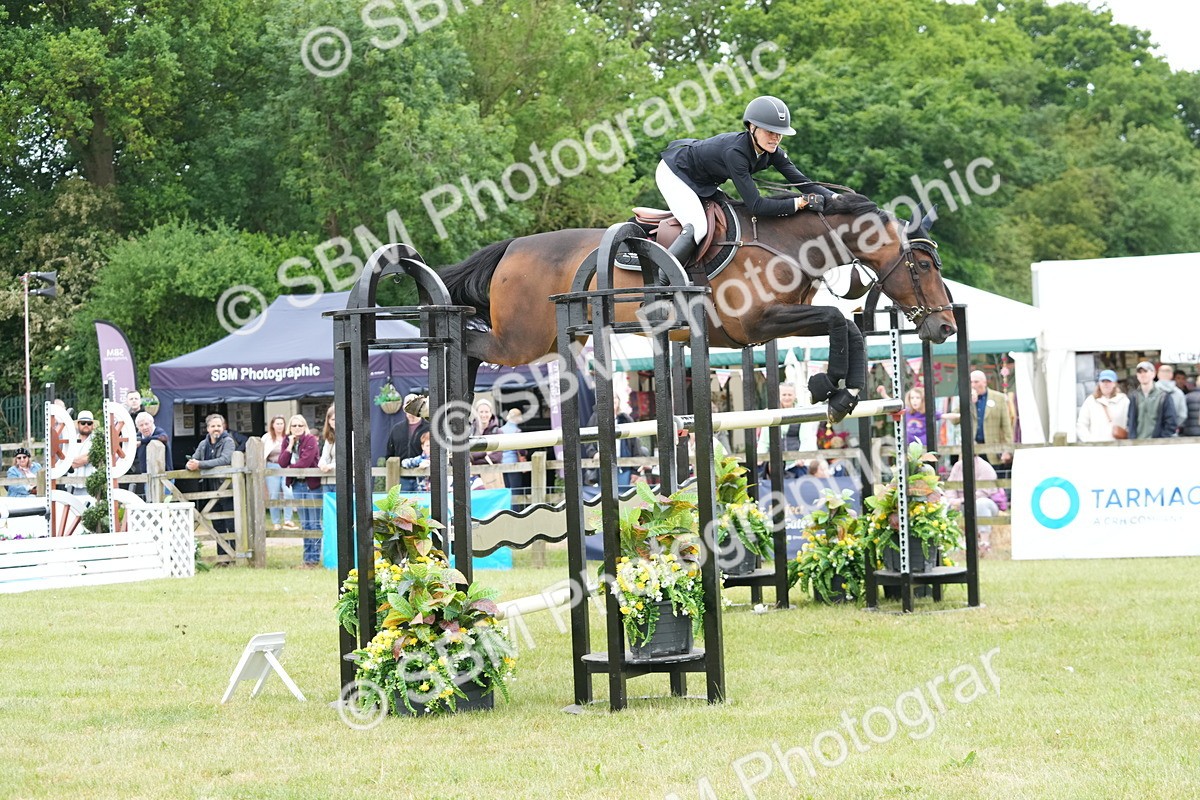SBM_05207 - Class 201 - British Horse Feeds Speedi Beet Horse of the Year Show Grade  C