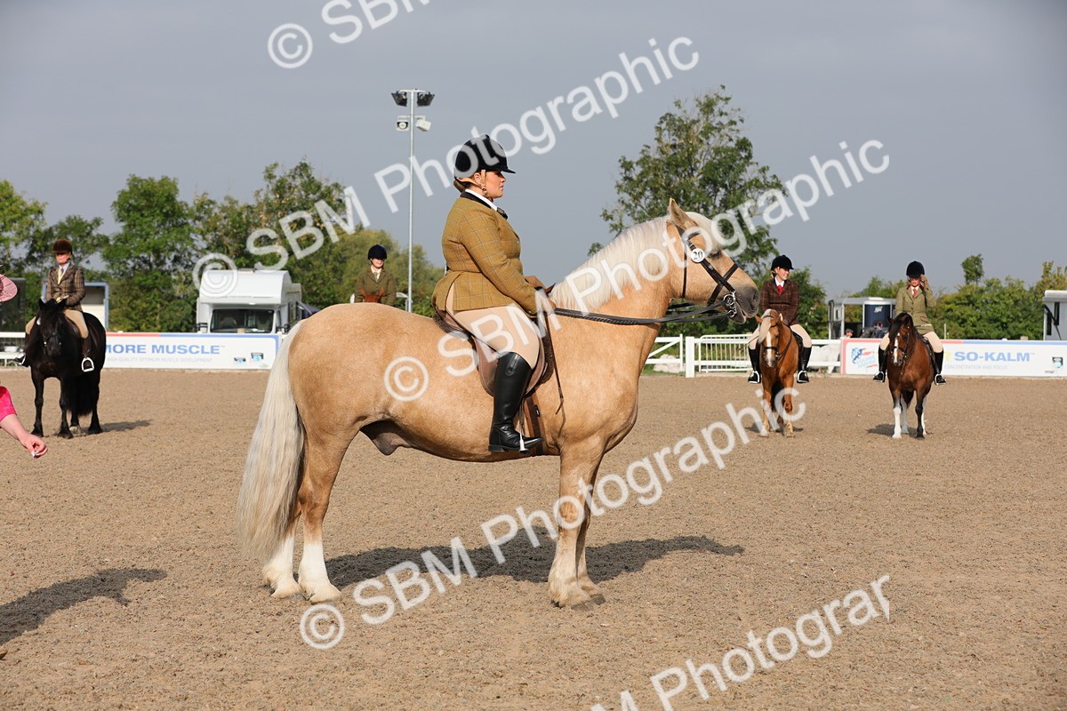 SBM_10106 - Class 302 Ridden M&M -Large Breeds