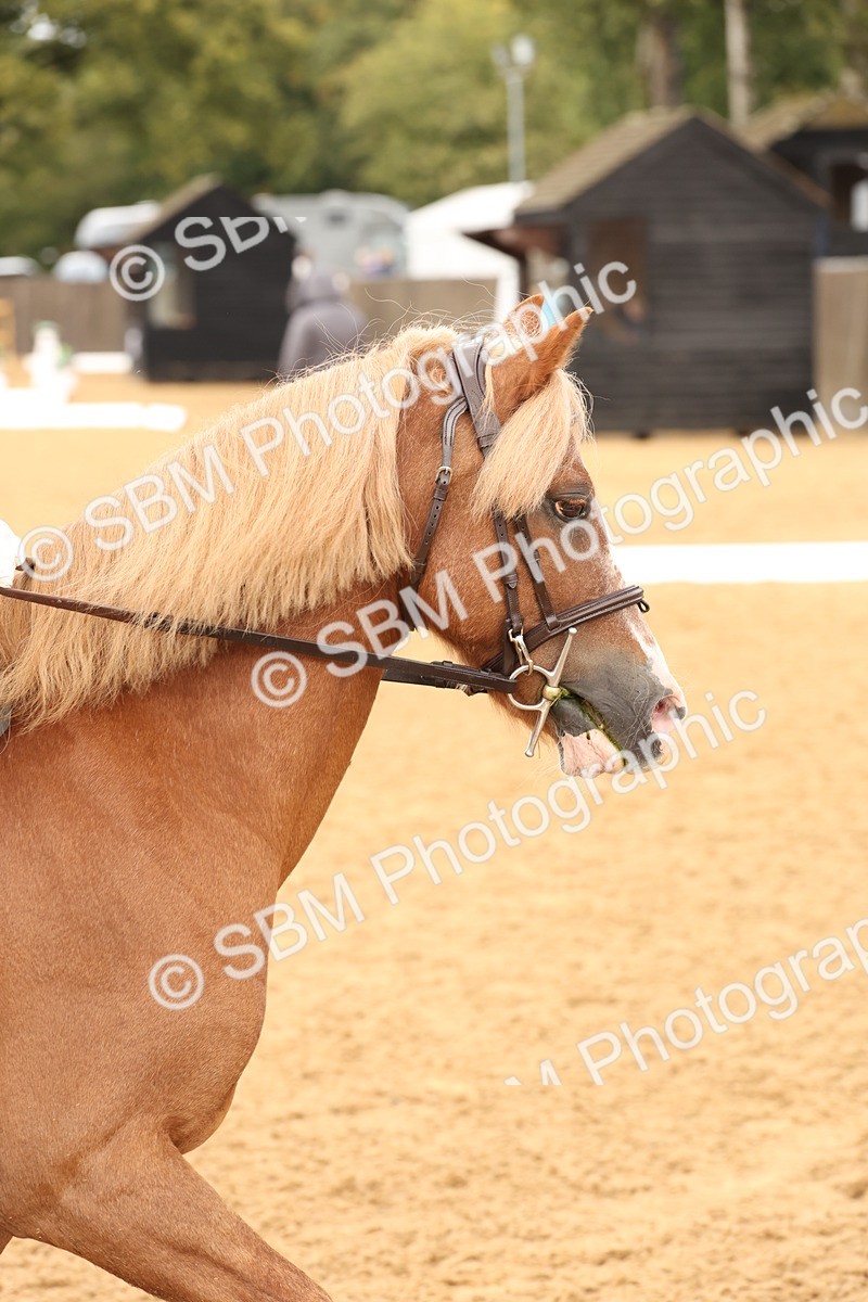 SBM_40578 - D6 - Small Tour Championship Intro 4