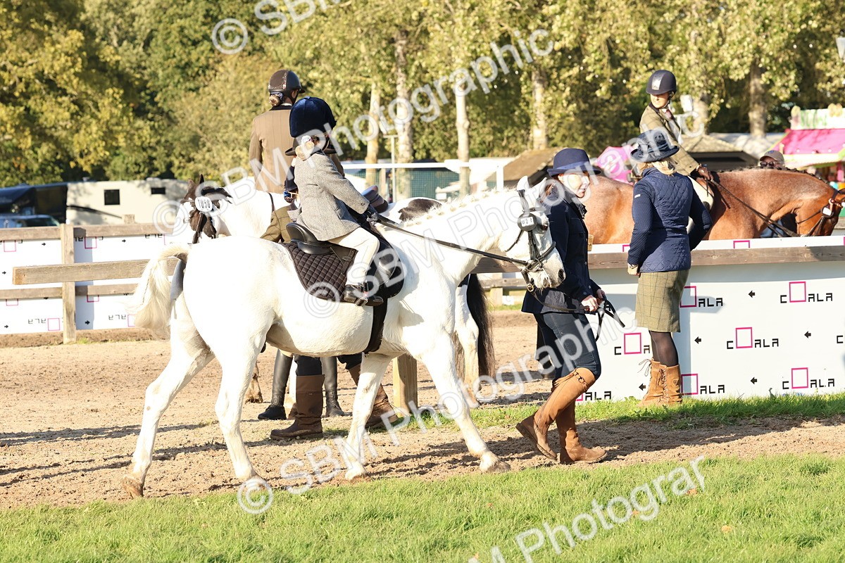 SBM_52988 - S29 - Mature Veteran Ridden