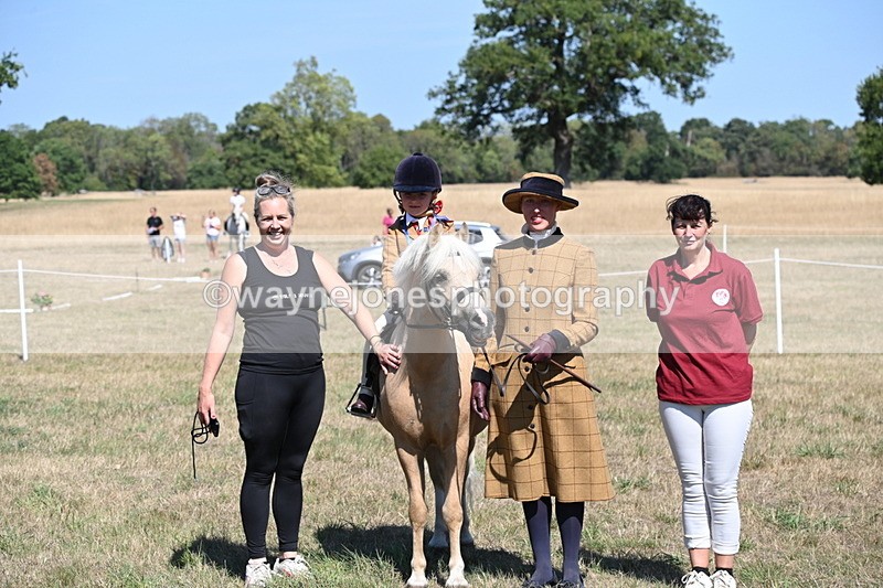 WJ6_8132 - Class 36 Lead Rein