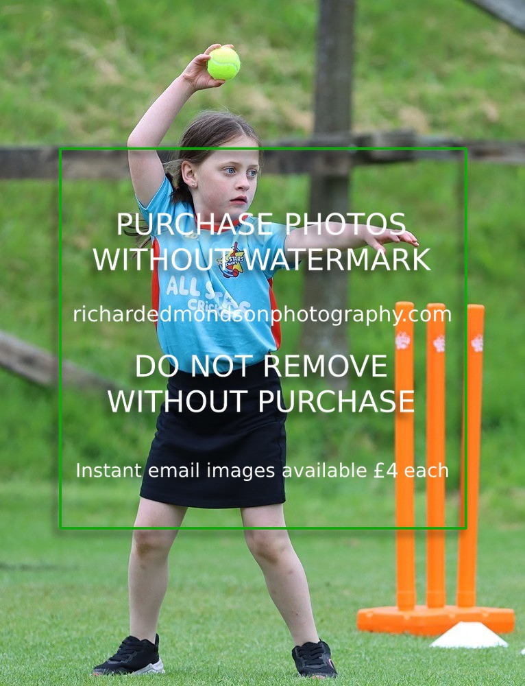 IMG_1212 - All Stars Cricket-Netherfield