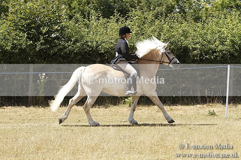 _BS_0890 - BVRC Show 2018 Ring 1