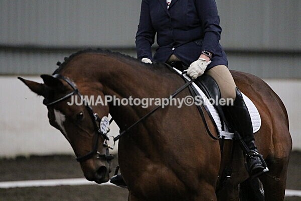 SIAL4427 - CAbin Dressage 5th july 2025