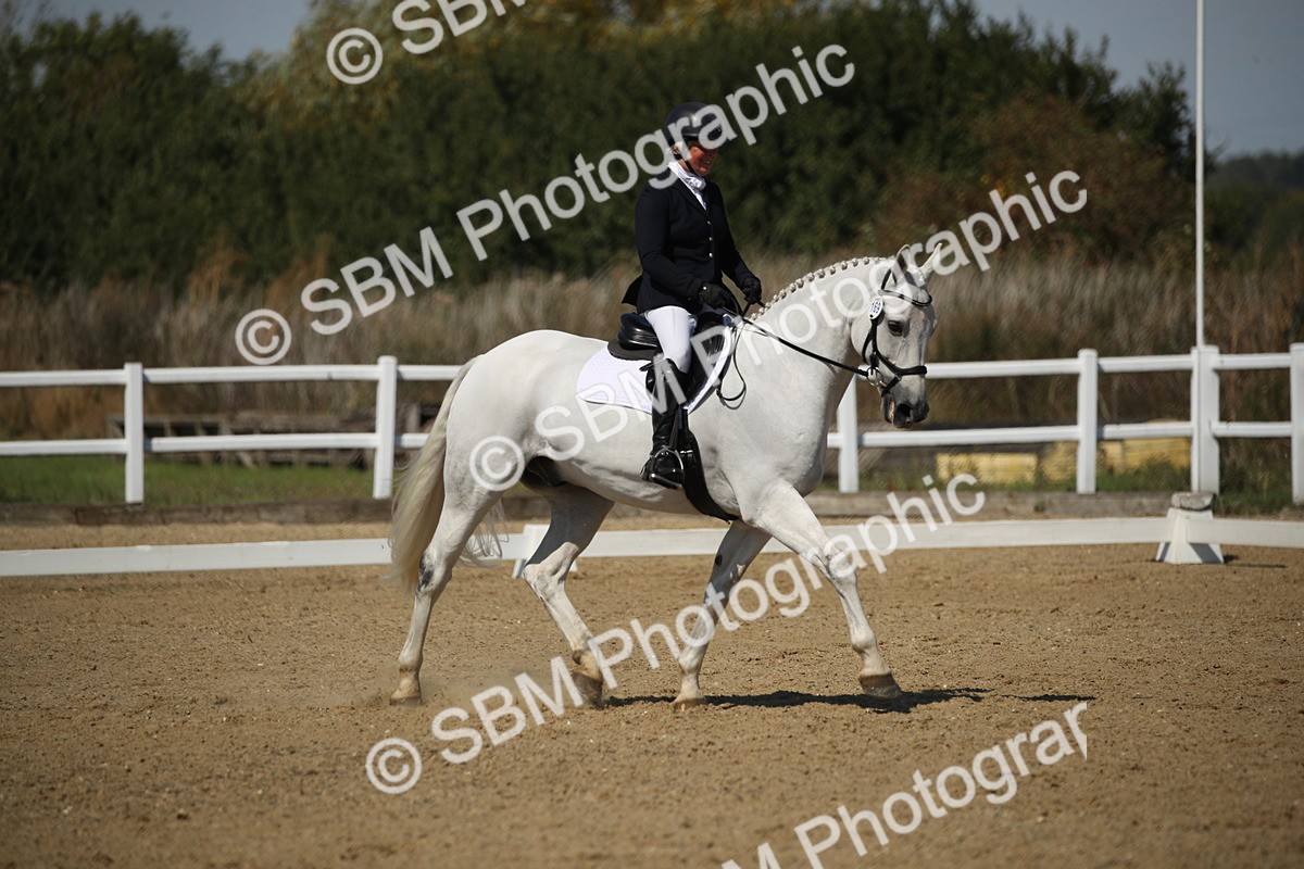 SBM_005036 - Class 11 - Novice 5 - 11.41-12.58