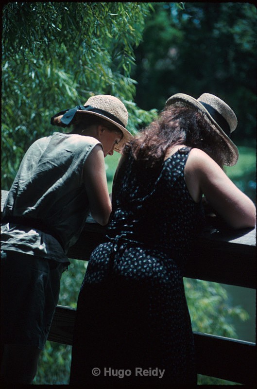  - Some Selected Images