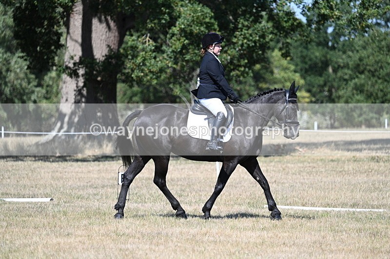 WJ7_0495 - Time 12:03 to 12:23