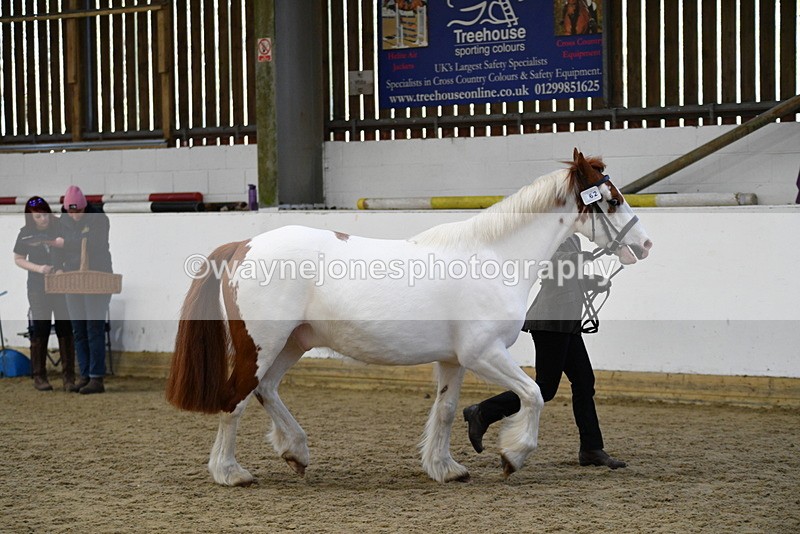 WJ5_5076 - Class 7 In hand coloured / odd coloured