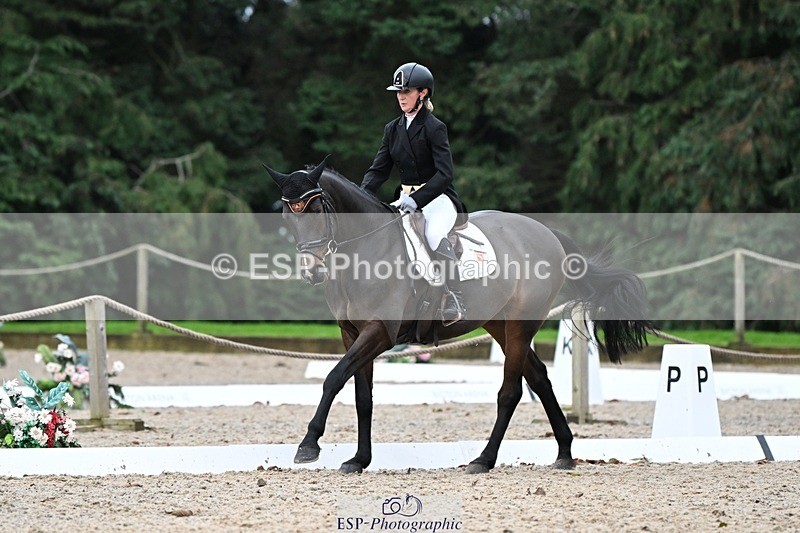 231019-165715-05467 - 073-ORNETA-Lisa.Maynard-DR