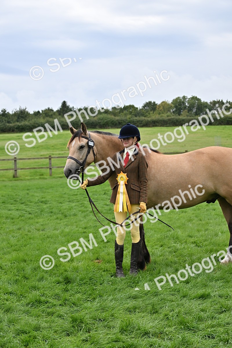 SBM_63331 - S49 - Mountain & Moorland In Hand Large Breeds