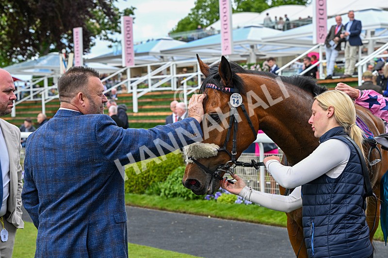 150526-Race 1-Zarathos-7088 - Race 1 1.45pm Yorkshire Equine Practice Handicap