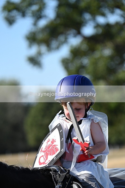 WJ7_2689 - Class 45 Fancy Dress (My Fav)