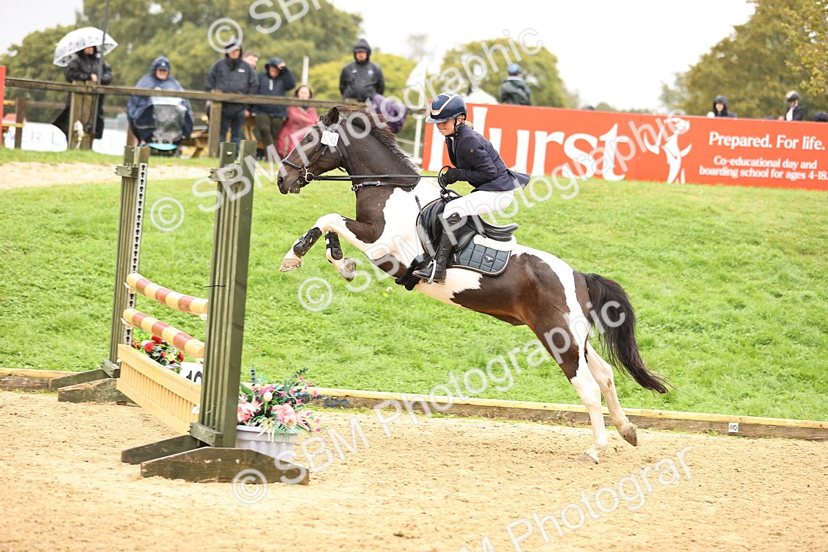 SBM_70052 - Supreme Championship 80cm 85cm