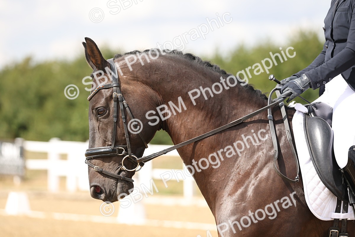 SBM_010498 - Class 16 - E5