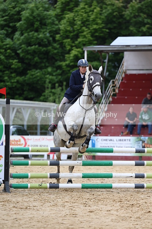 3E7A6065 - Class 4: Senior British Novice/90cm open