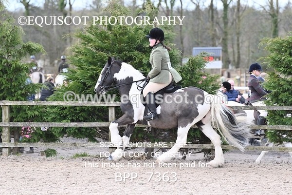 BPP_7363 - RING 1  (RIDDEN HORSES / IN HAND / VETERAN ETC)