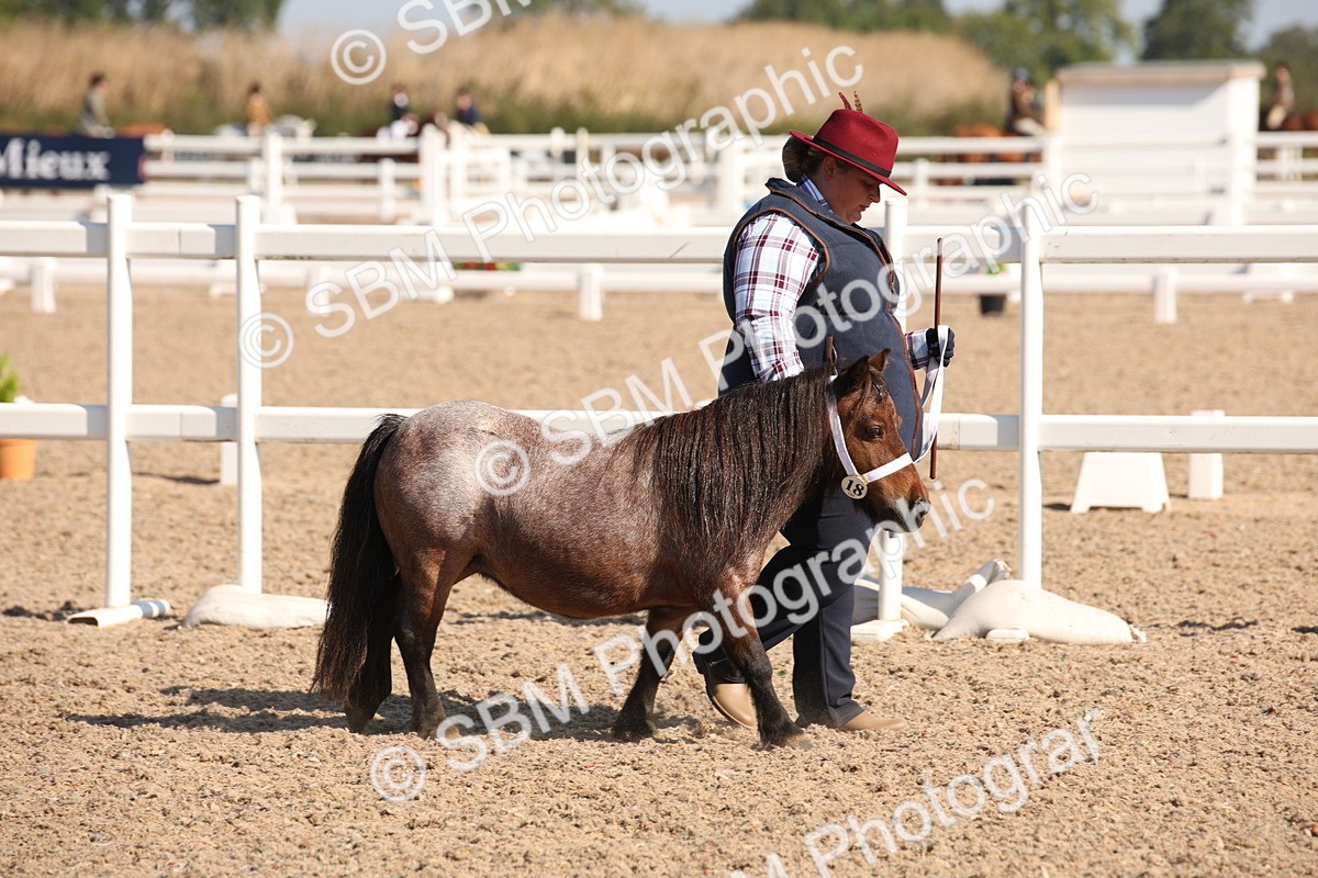 SBM_02651 - Class 16 IH M&M Wildcard