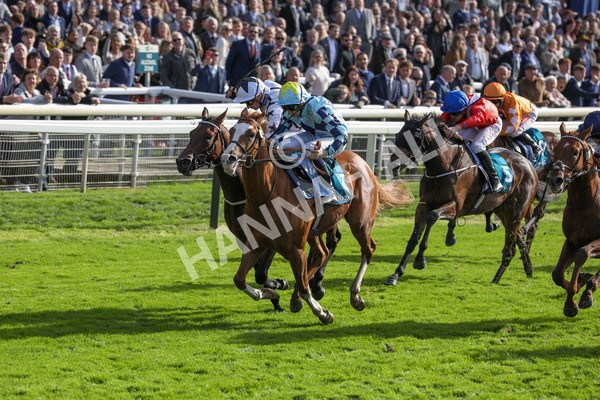 141023-Race 2-Whiskey Pete-0352 - Race 2 1.50pm Play Coral 'Racing-Super-Series' For Free Nursery Handicap