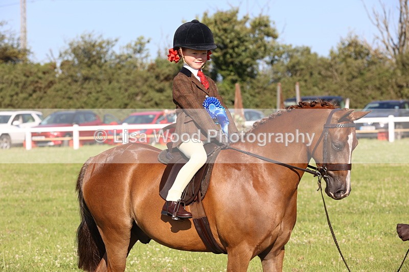 JPP_0889 - Class 16: Cornish Combination Leading Rein