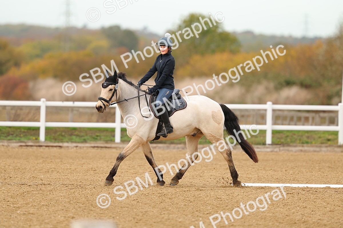 SBM_000578 - Class 3-12 - CT P2 60cm - DR P2