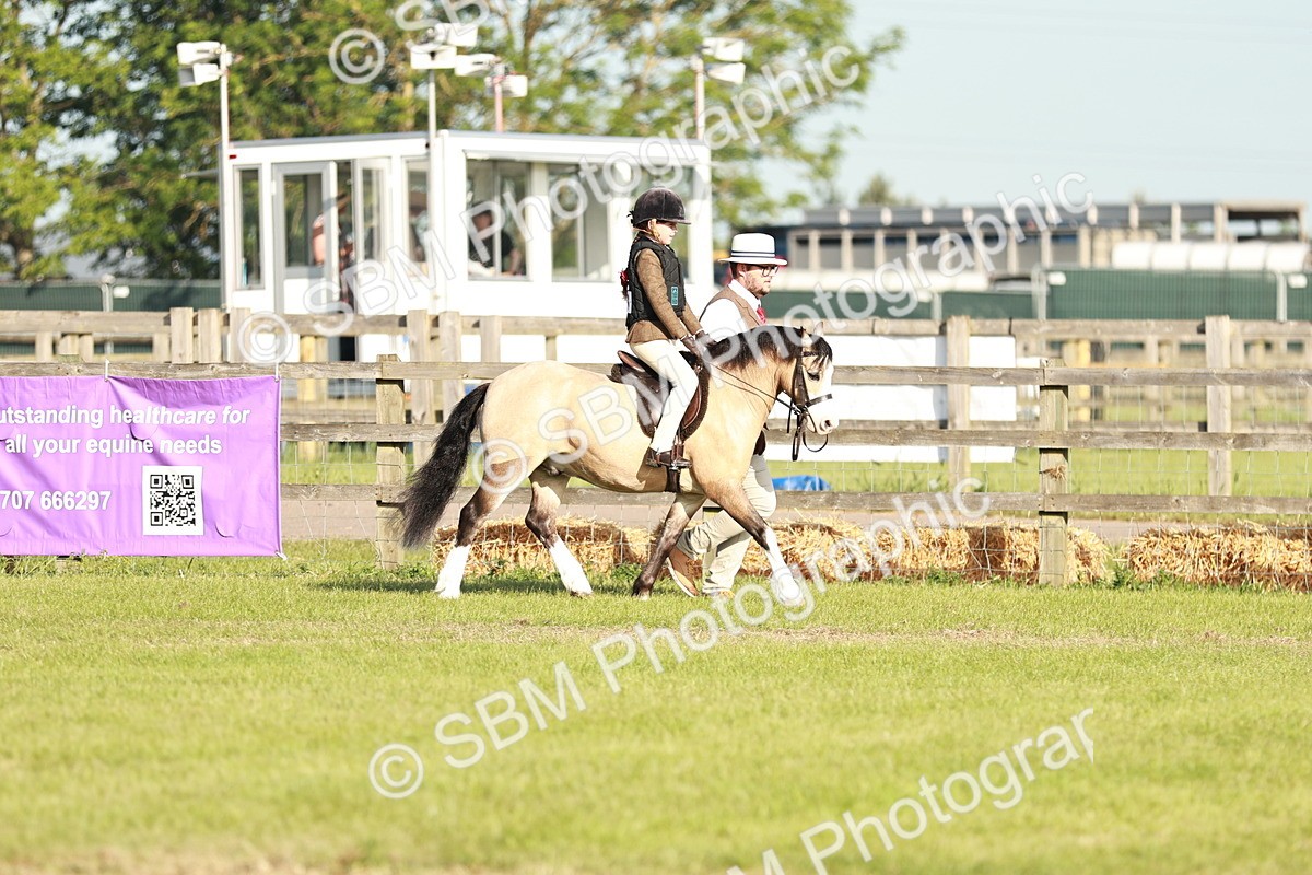 SBM_11031 - Class 106-107 - BSPS LIHS Working Sports Pony