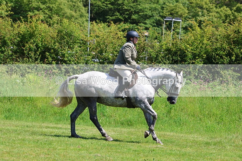 3E7A8290 - Class 13: Ridden Hunter