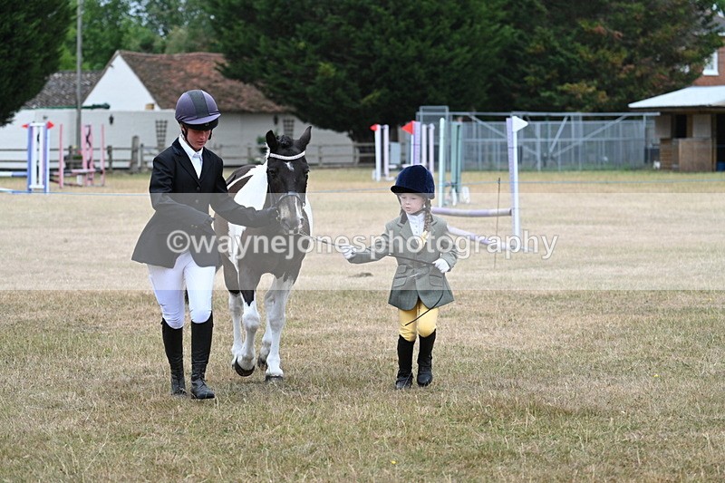 WJ7_9569 - Class 5 Most Handsome Gelding (up to 14.2hh)