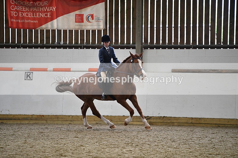 WJ5_7792 - Class 13 Ridden Part Breed