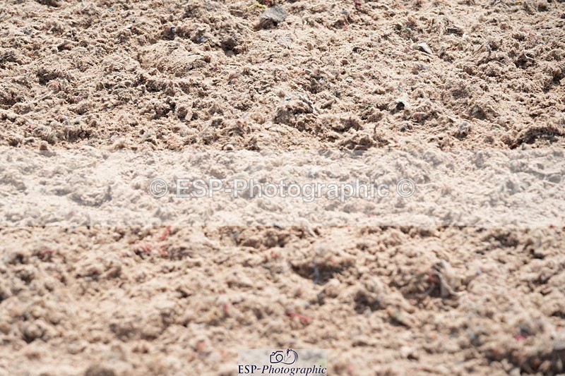 250815-134037-01247 - 1.30pm Presentations