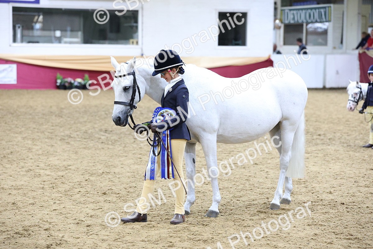 SBM_19997 - Class A - Junior Champ 10yr and Under