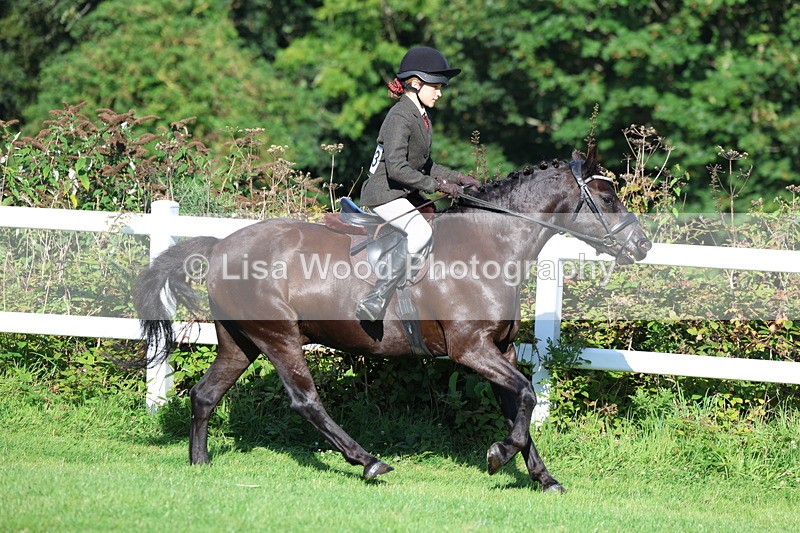 3E7A7590 - Class 1: Novice Working Hunter Pony