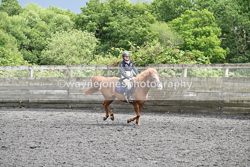 WJ6_0210 - Class 13 Novice 60cm