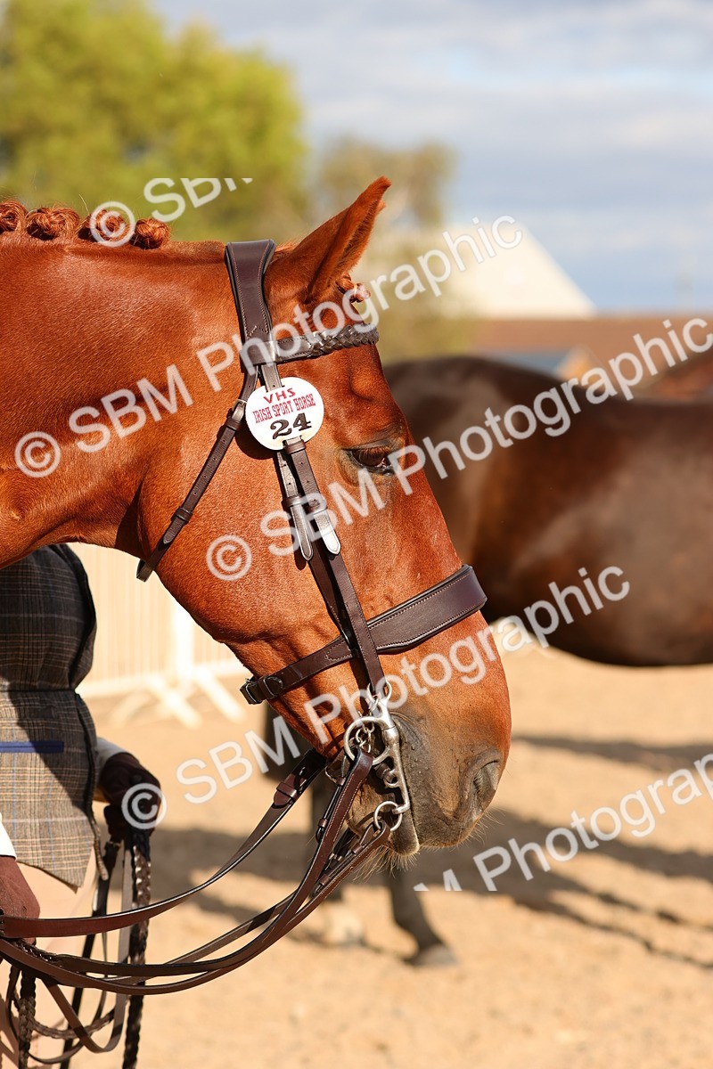 SBM_18399
